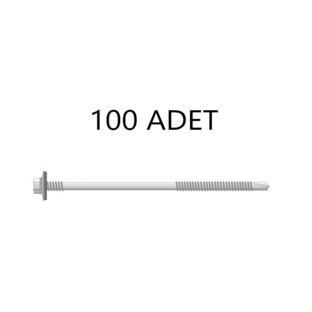 5.5X160 AKB ÇATI VİDASI 100LÜ PAKET