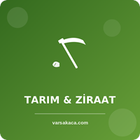 Tarım & Bahçe