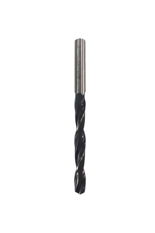 10 MM MTE SİL. SAPLI MATKAP UCU B00000001000